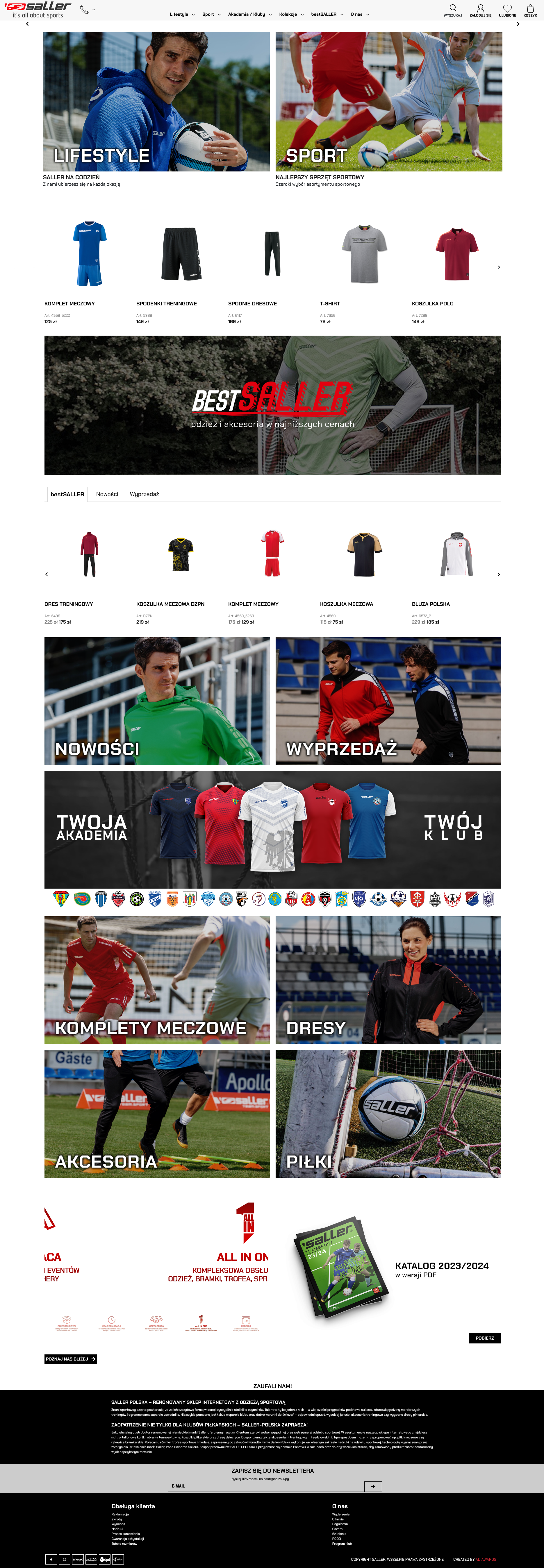 Agencja Lion portfolio item